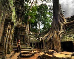 10 Dagen Cambodja Ervaring - Privé