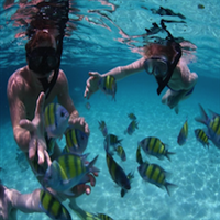 Snorkelen in het Ang Thong National Marine Park - hele dag - Joined