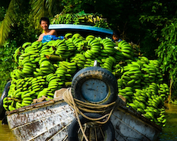2 dagen Mekong Delta met transfer naar Phu Quoc - prive