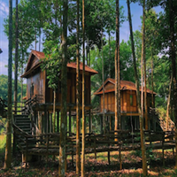 Green Bamboo Lodge Cat Tien