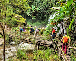 Volle dag trekking door de bergen van Chiang Mai