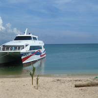 Joined Bus and Ferry Transfer from Phuket to Koh Samui, Koh Phangang or Koh Tao