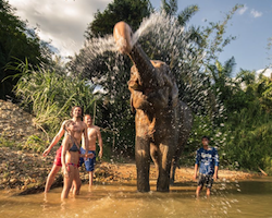 Halve dag tours in Khao Sok - gezamenlijk