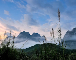 Transfer Khao Sok naar hotel op Koh Samui, Phanang of Tao
