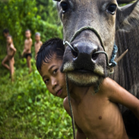 14 Dagen Laos - Rondreis