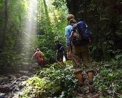 Gezamenlijke trekking in Luang Prabang met lunch