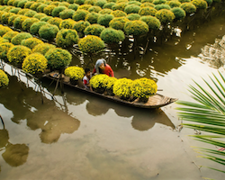 3 Dagen Mekong Delta met transfer naar Phu Quoc - Prive