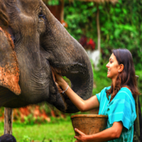 Olifant eigenaar voor 1 dag: Patara Elephant Farm 