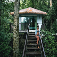 Rock and Tree House Resort Khao Sok