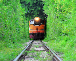 Nacht slaap trein van Hua Hin naar Chumpon of Surat Thani
