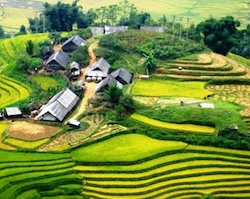 19 Dagen Vibes van Indochina 