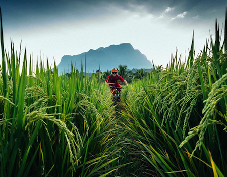 Halve Dag Gezamelijk Mountainbiken in Chiang Mai