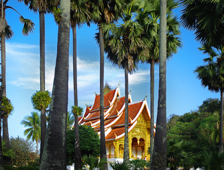 * Onontdekt * 18 Dagen Laos & Cambodja privé reis