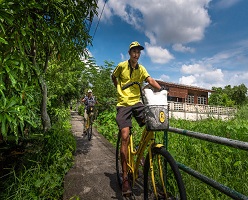 Co van Kessel Bangkok Tours