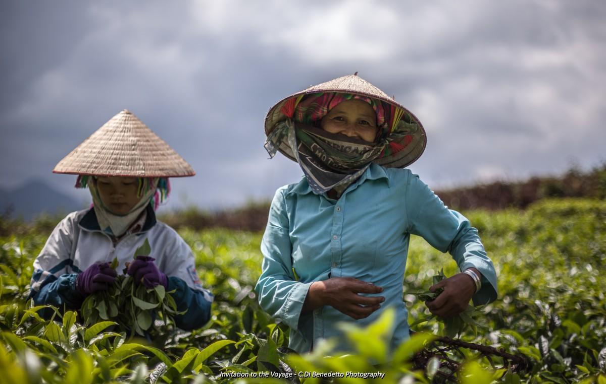 Grensovergang vanuit Savannakhet naar Vietnam