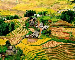 3 Nights 3 Days | Hanoi - Sapa Trekking