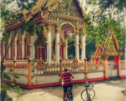 Green World Bangkok fiets tour - prive halve dag