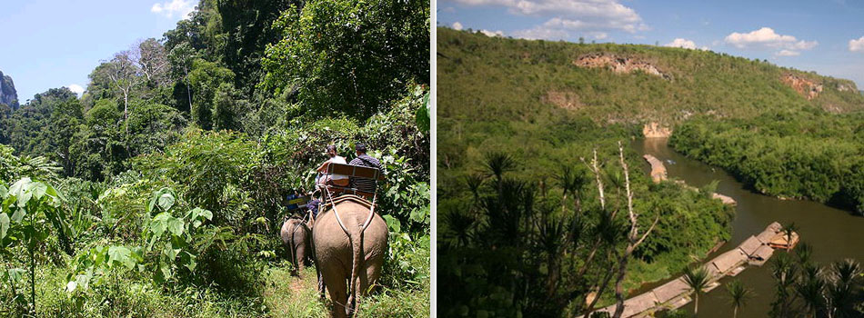 jungle-thailand-reisaanbod