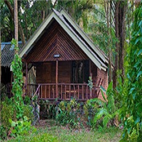 4 Days 3 Nights Khao Sok Explorer